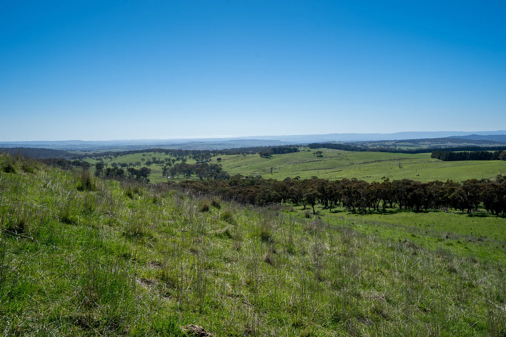 Additional image 22 of 242 Bundaleer Road, Newbridge NSW 2795