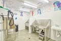 Additional image 32 of 45147 Lopes Rd, Fremont, CA, 94538