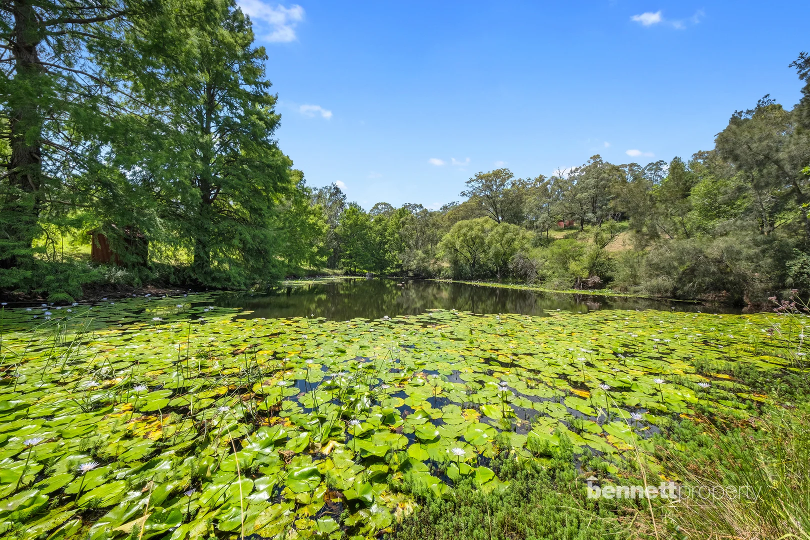 Additional image 35 of 37 Overton Road, Kurrajong NSW 2758
