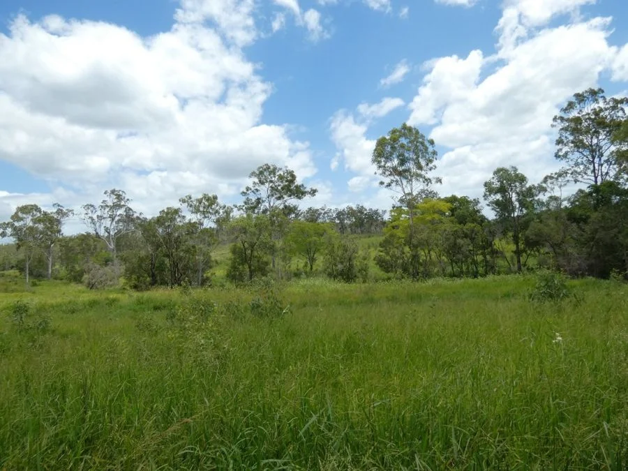 Additional image 10 of Lot 43 Moolyung Road, Waterloo QLD 4673
