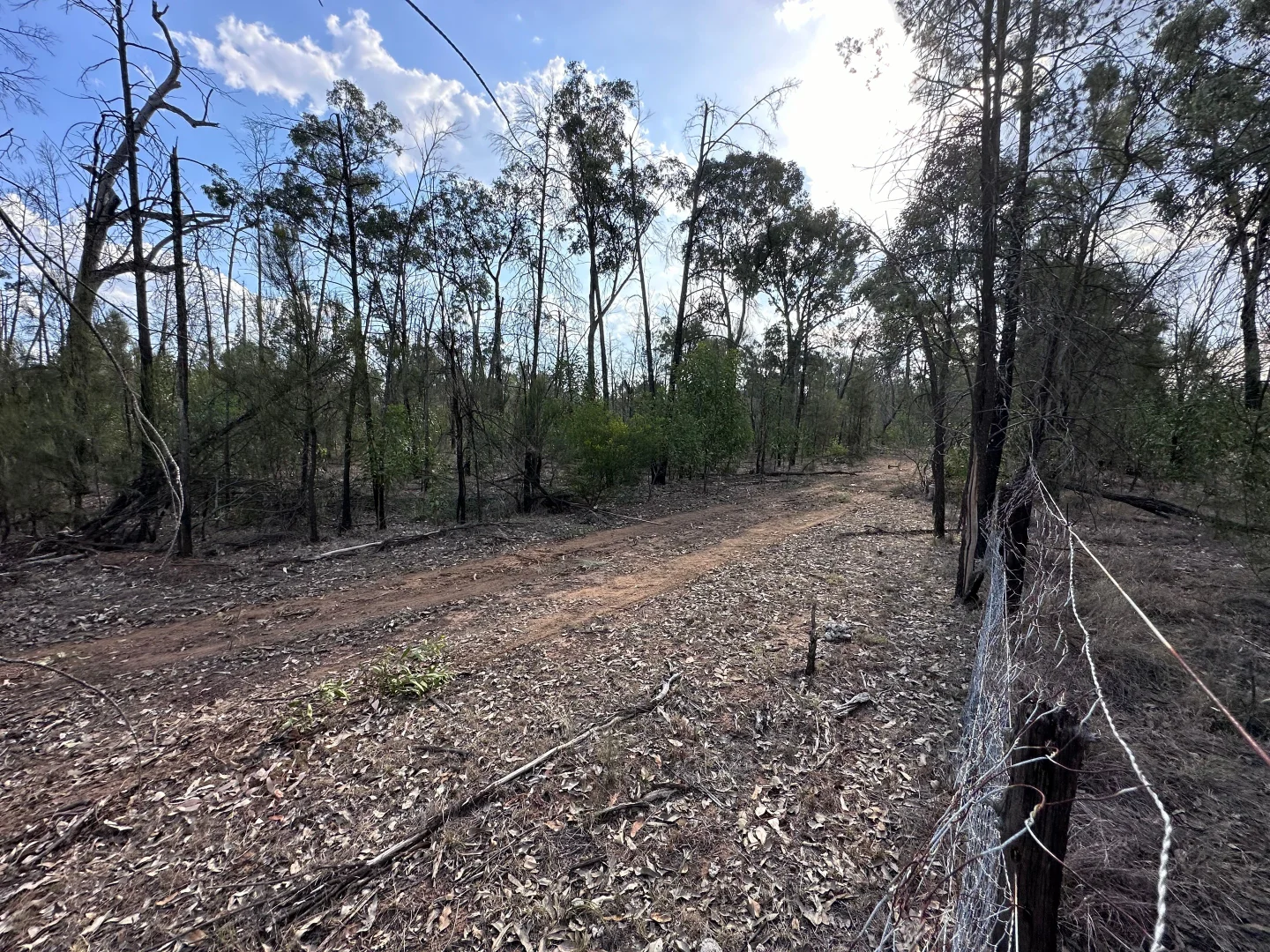 Additional image 4 of 15778 Surat Development Road, Goranba QLD 4421