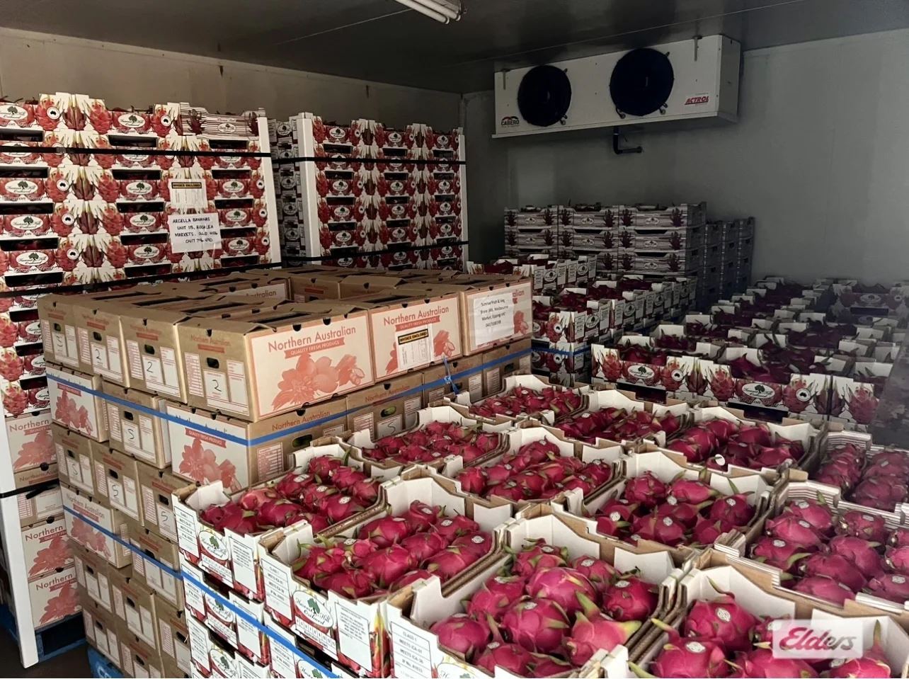 Additional image 28 of 125 Buckley Road, Lambells Lagoon NT 0822