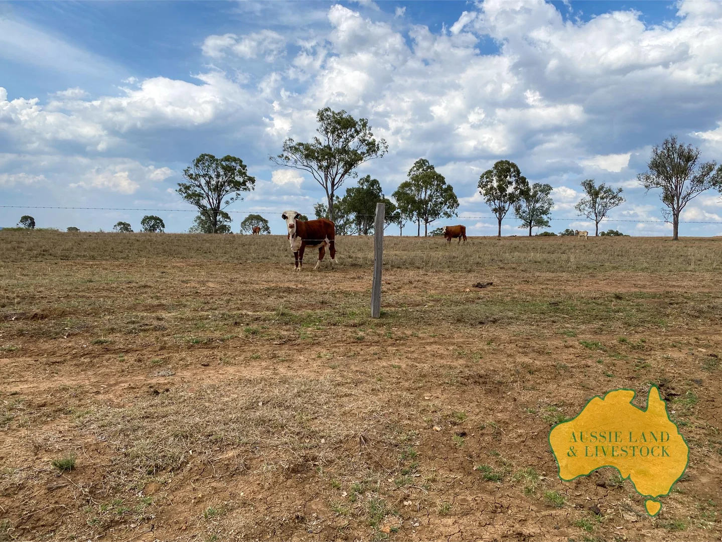 Additional image 17 of 95 Monto Mount Perry Road, Tellebang QLD 4630