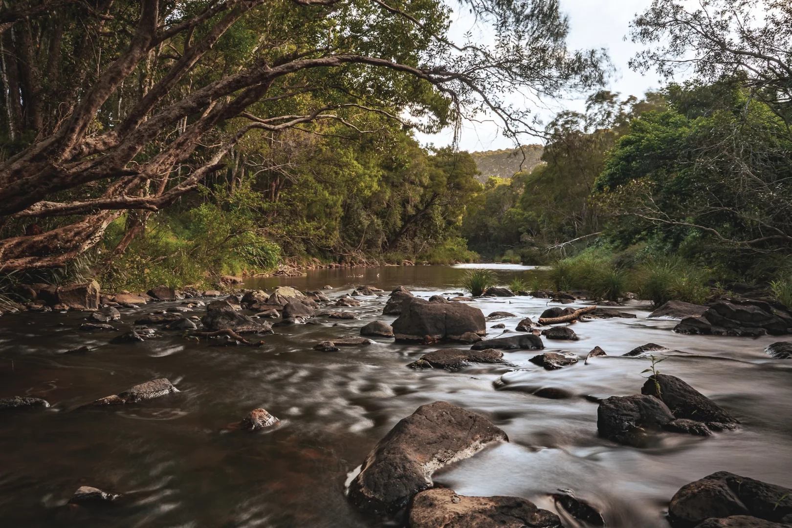 Additional image 7 of 315 Coorabell Road, Coorabell NSW 2479