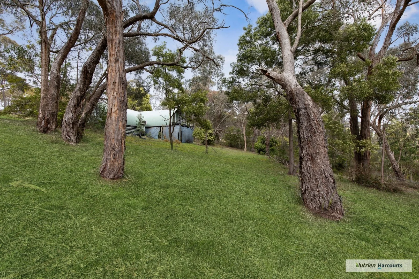 Additional image 15 of 105 North Mountain Road, Heathcote Junction VIC 3758