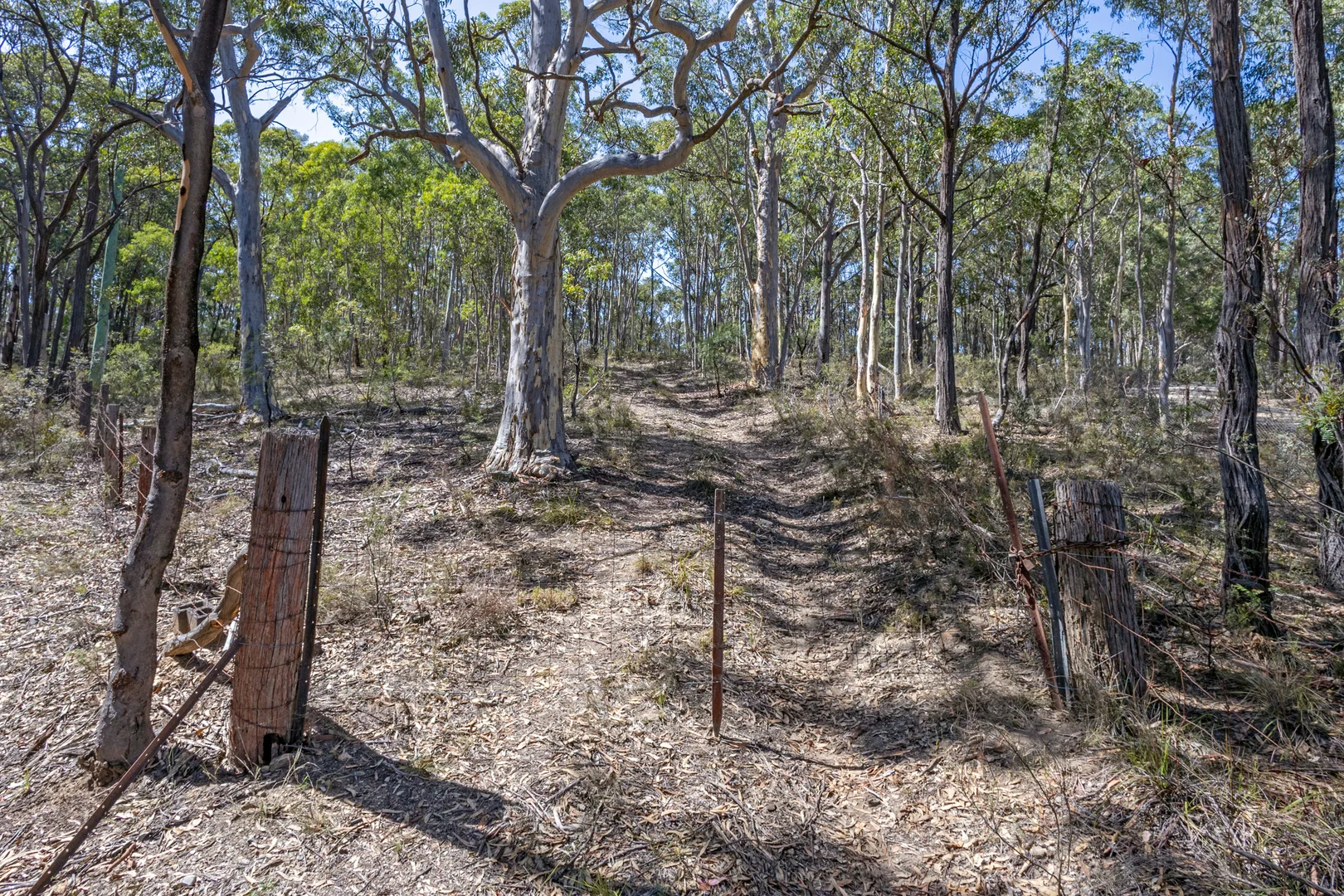 Additional image 3 of Lot 3422 Blackheath Creek Road, Kanimbla NSW 2790