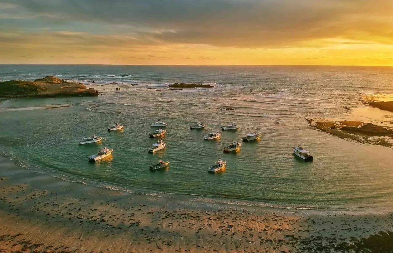 Additional image 8 of 203 Bell Crescent, Padthaway SA 5271