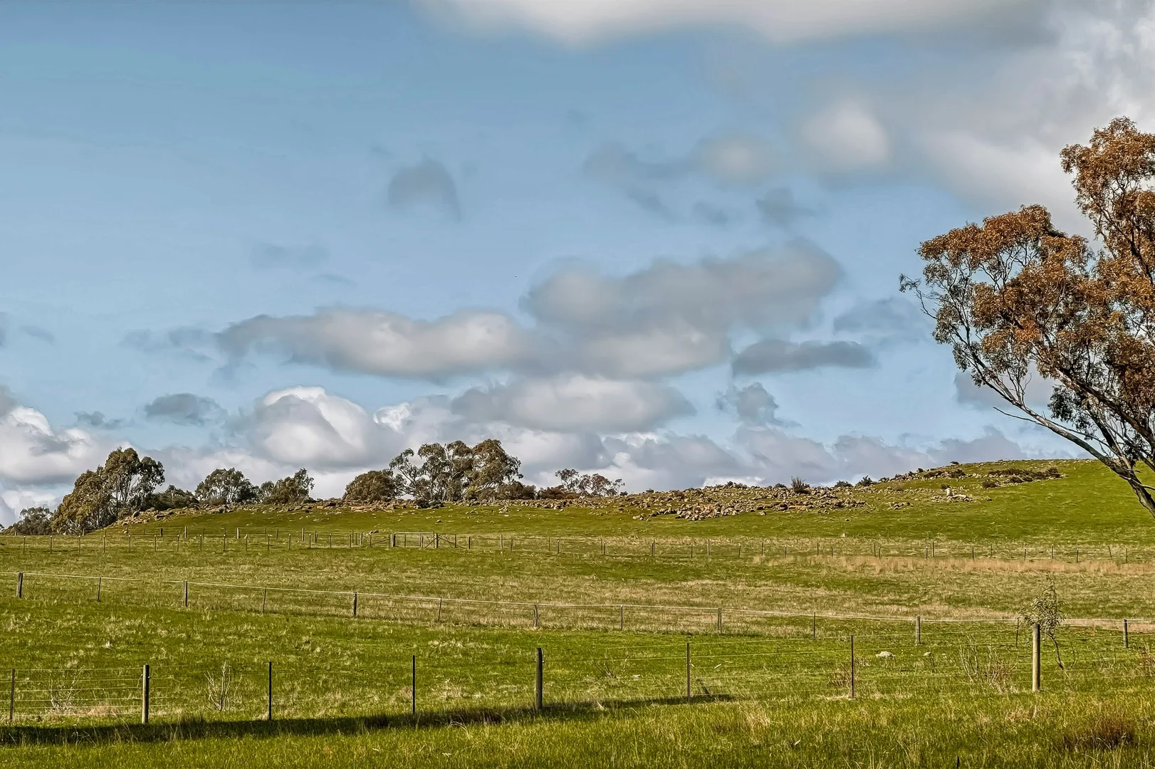 Additional image 13 of 870 Valley Road, Glenhope VIC 3444