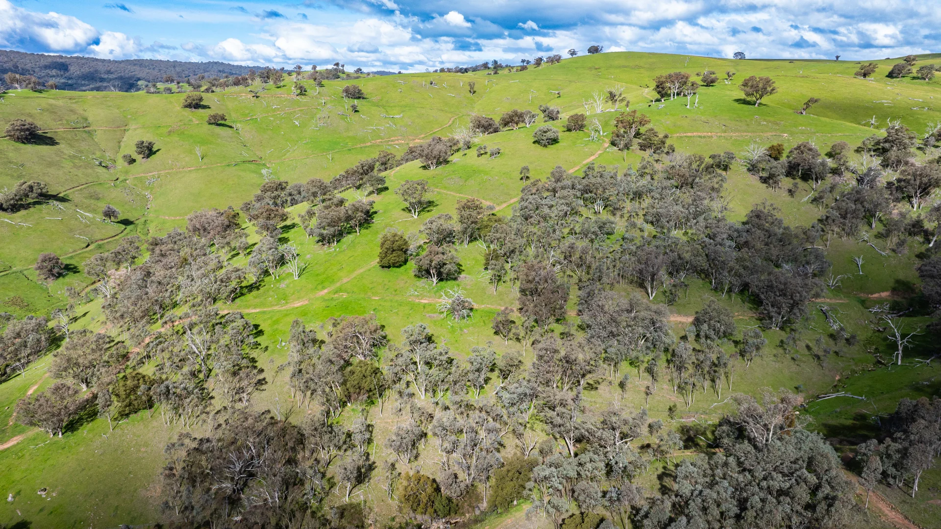 Additional image 10 of . Packers Road, Bethanga VIC 3691