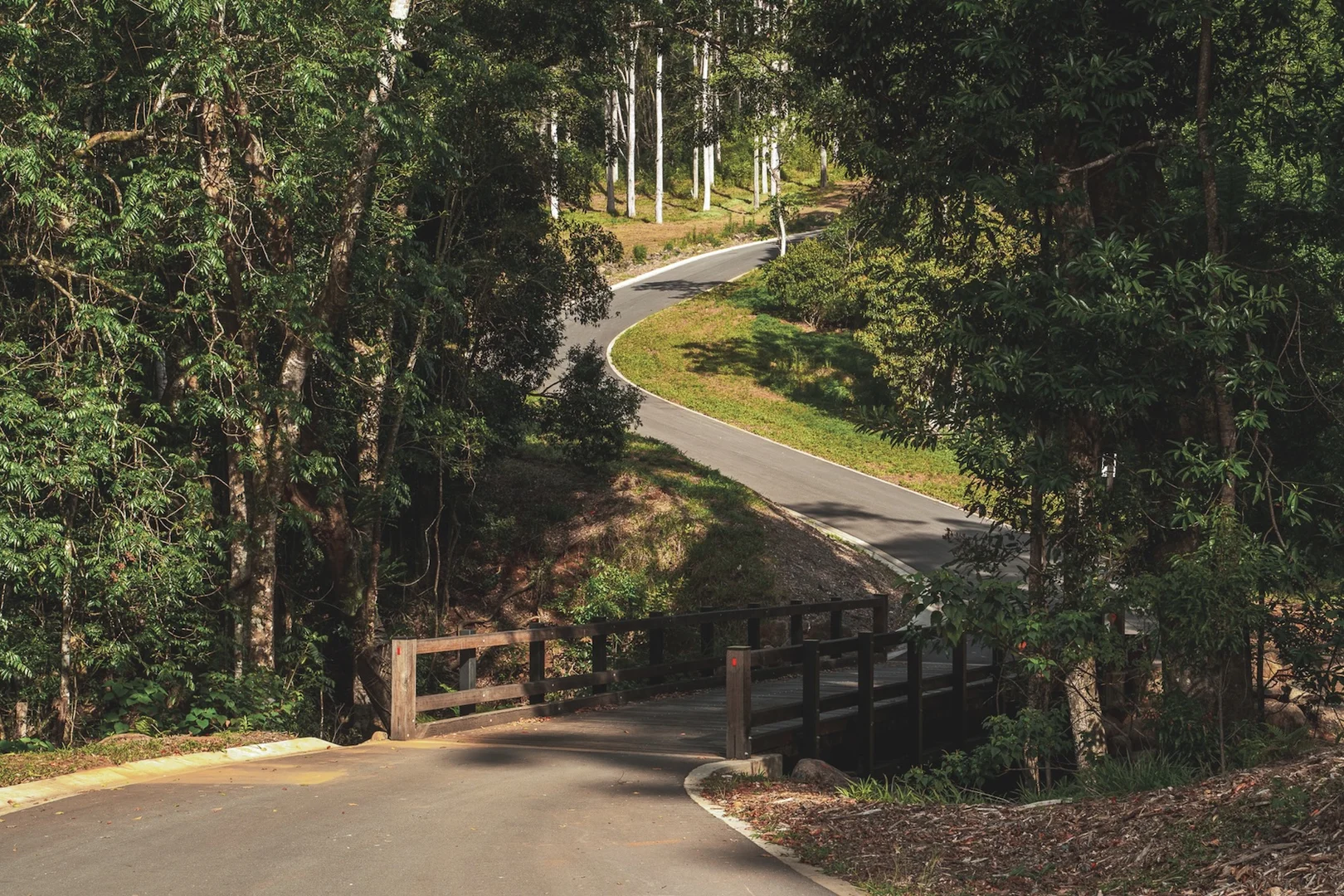 Additional image 25 of 315 Coorabell Road, Coorabell NSW 2479