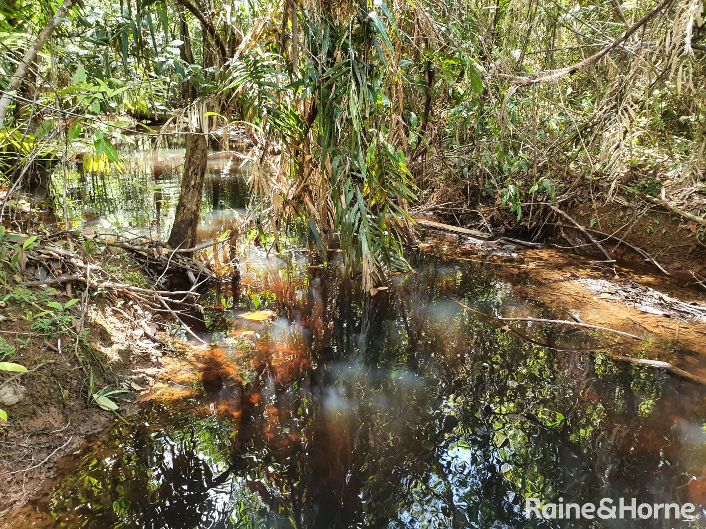 Additional image 23 of Lot 249 White Beech Road, Cow Bay, Daintree QLD 4873
