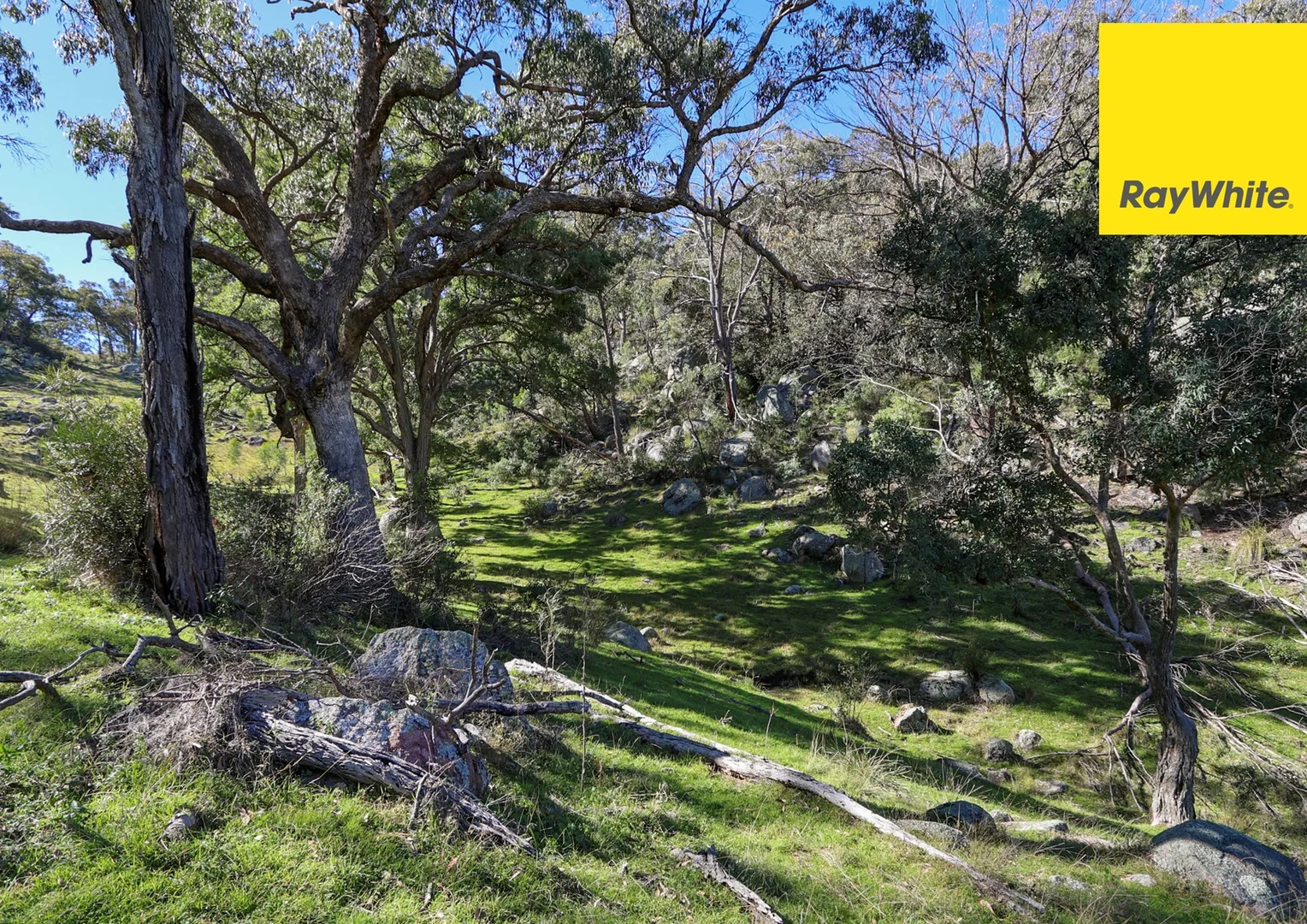 Additional image 28 of 406 Dry Creek Road, Inverell NSW 2360