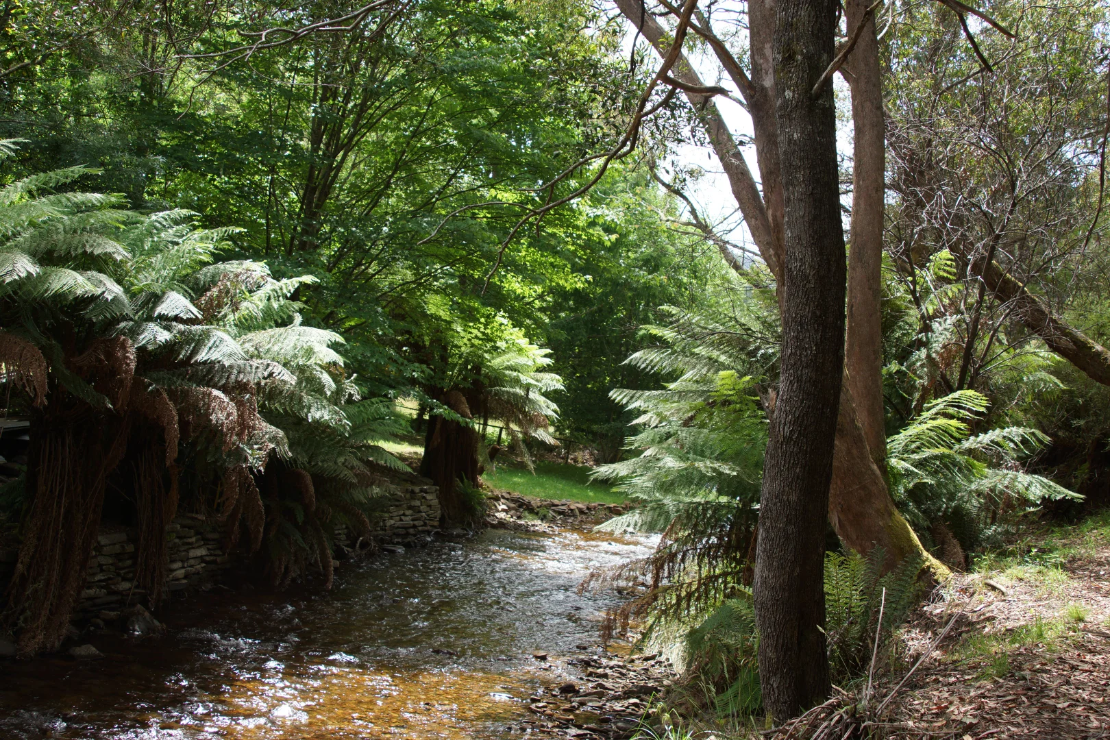 Additional image 25 of 30 Scott Street, Woods Point VIC 3723