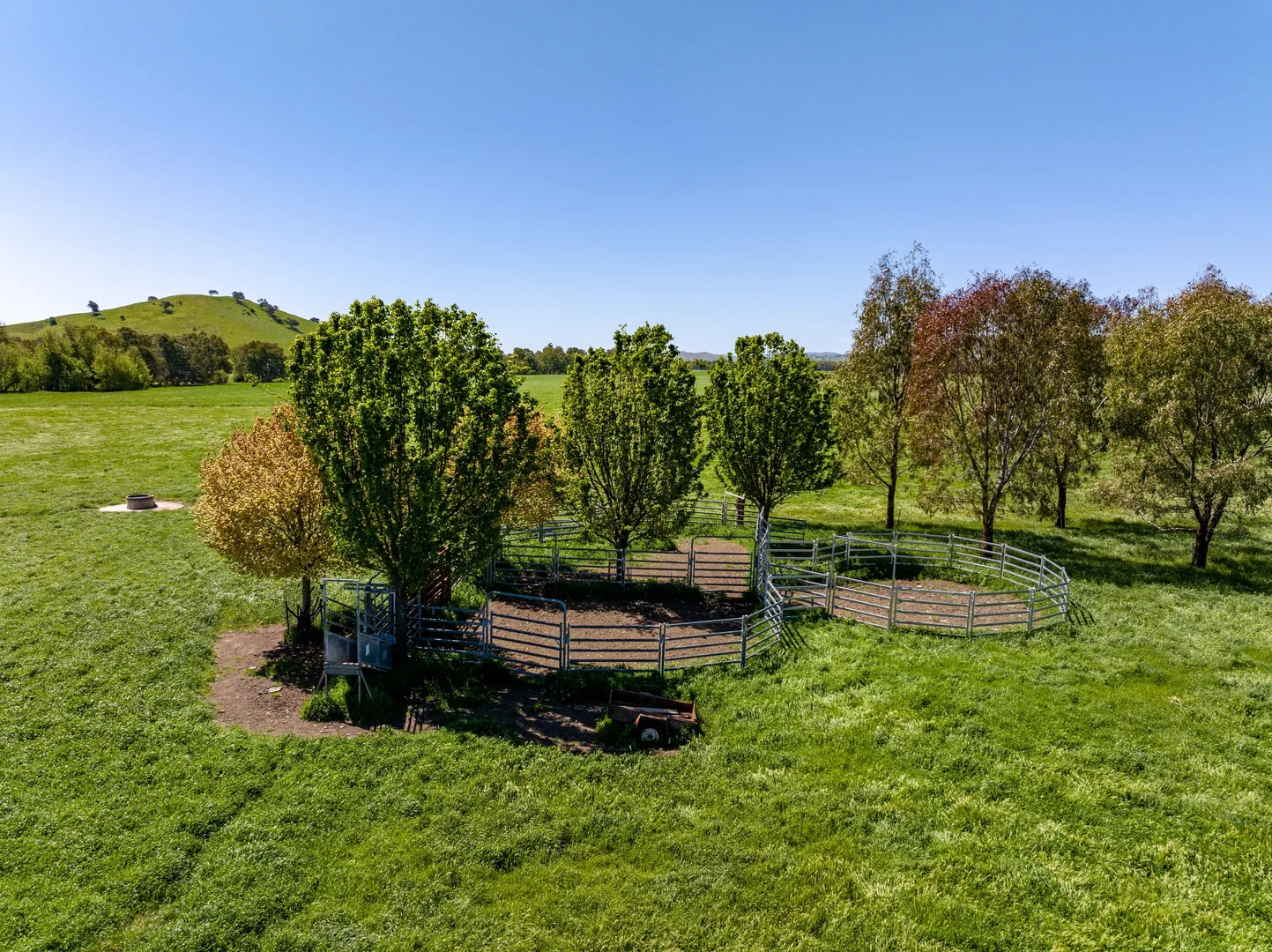 Additional image 12 of 44 Dodd Street, Gundagai NSW 2722