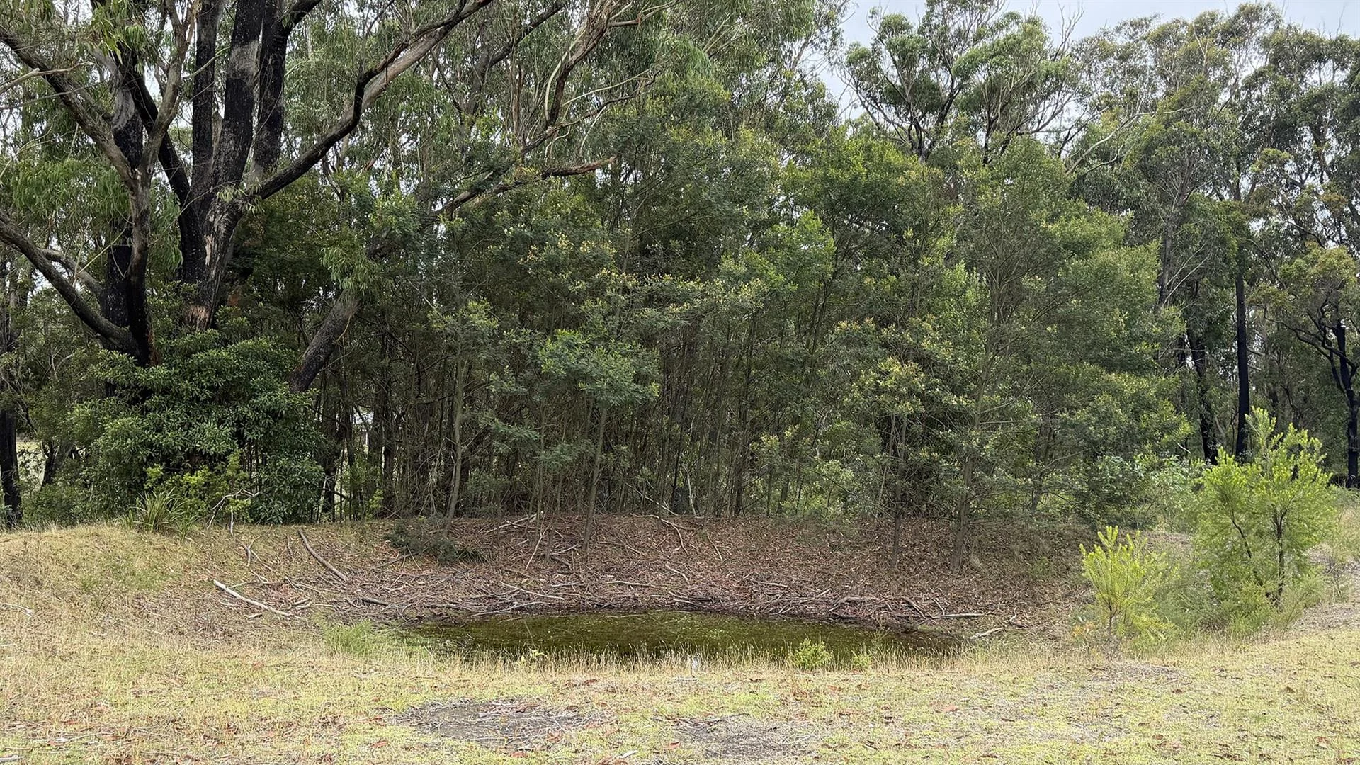 Additional image 11 of 162 Teudts Road, Penrose NSW 2579