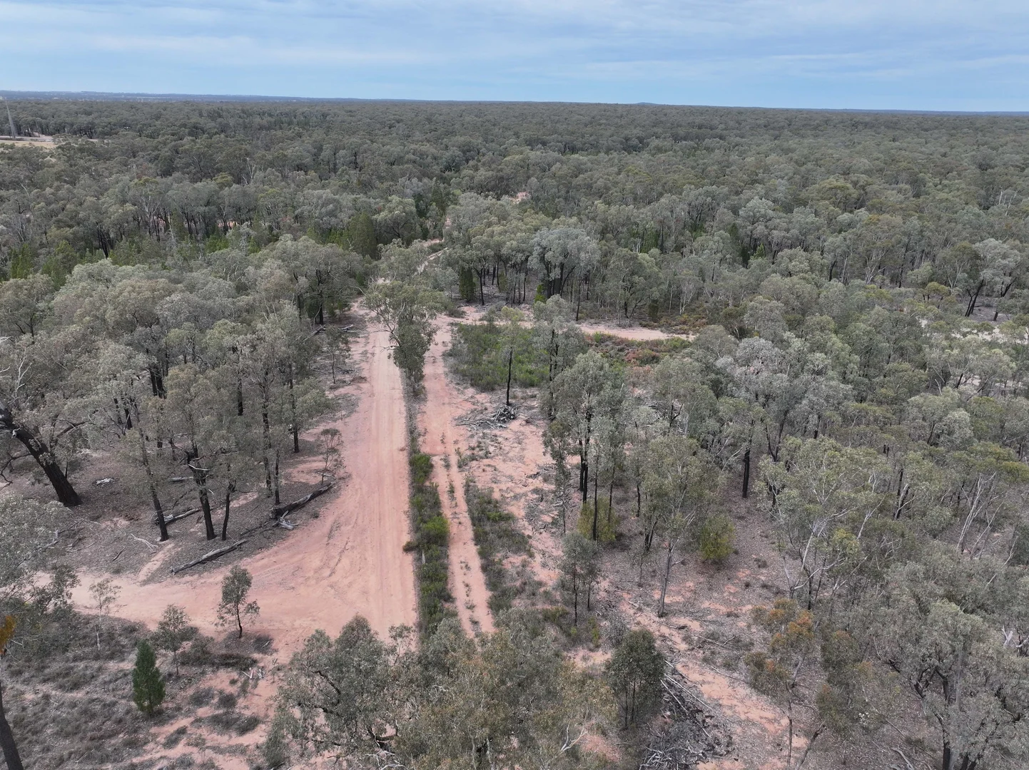Additional image 15 of 'The Backwoods' 1054 Burley Griffin Way, Temora NSW 2666