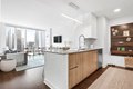 Additional image 57 of 313 W Wolf Point Plz, Chicago, IL, 60654