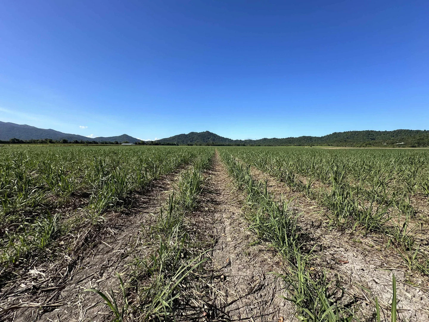 Additional image 4 of East Feluga QLD 4854