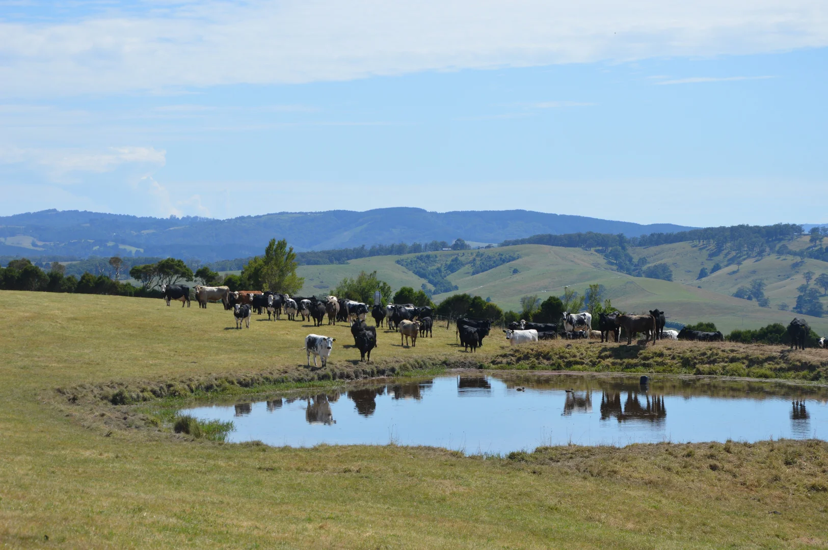 Additional image 5 of 20 Gryll Road, Welshpool VIC 3966