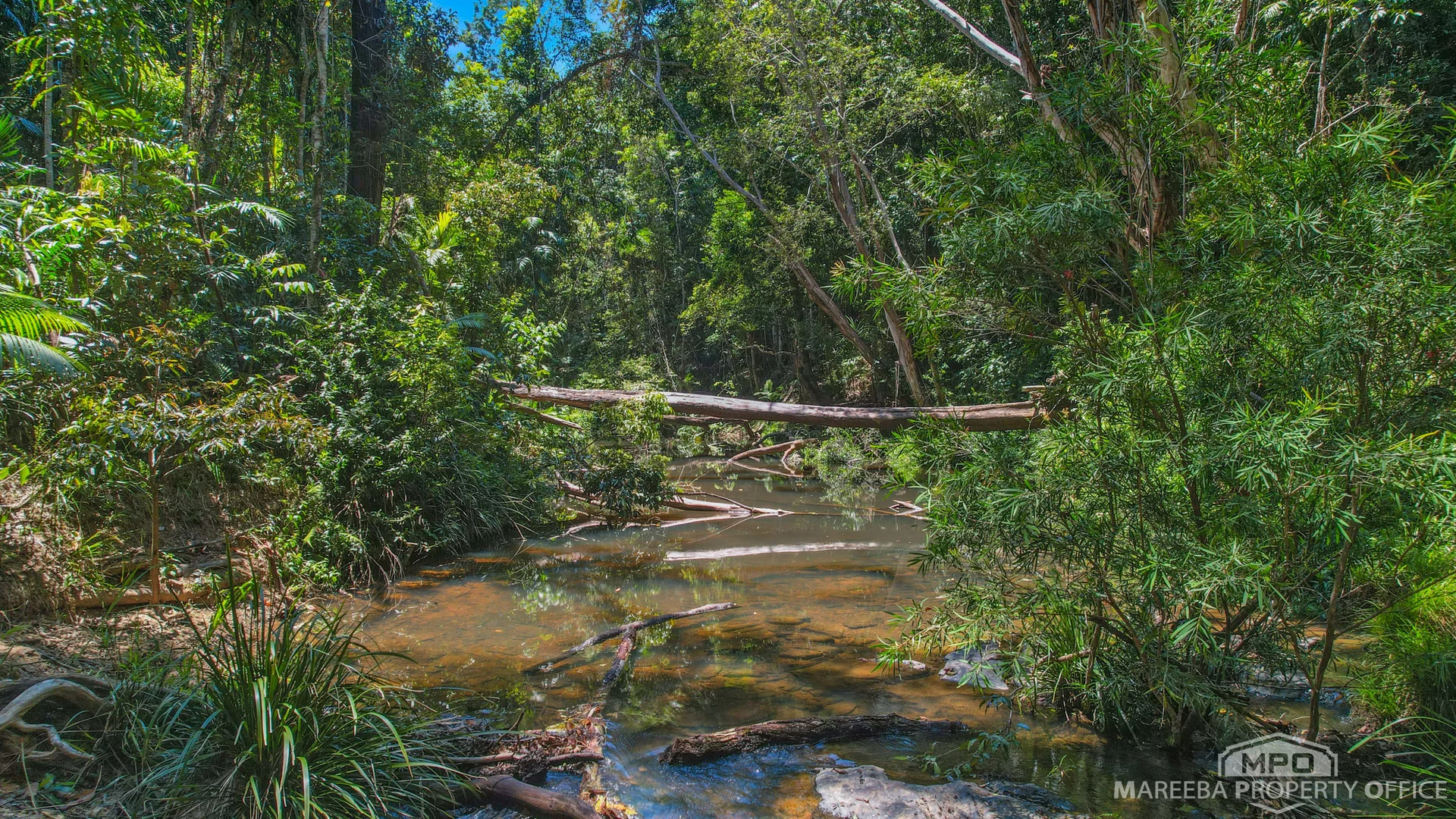 Additional image 37 of 4532 Black Mountain Road, Julatten QLD 4871