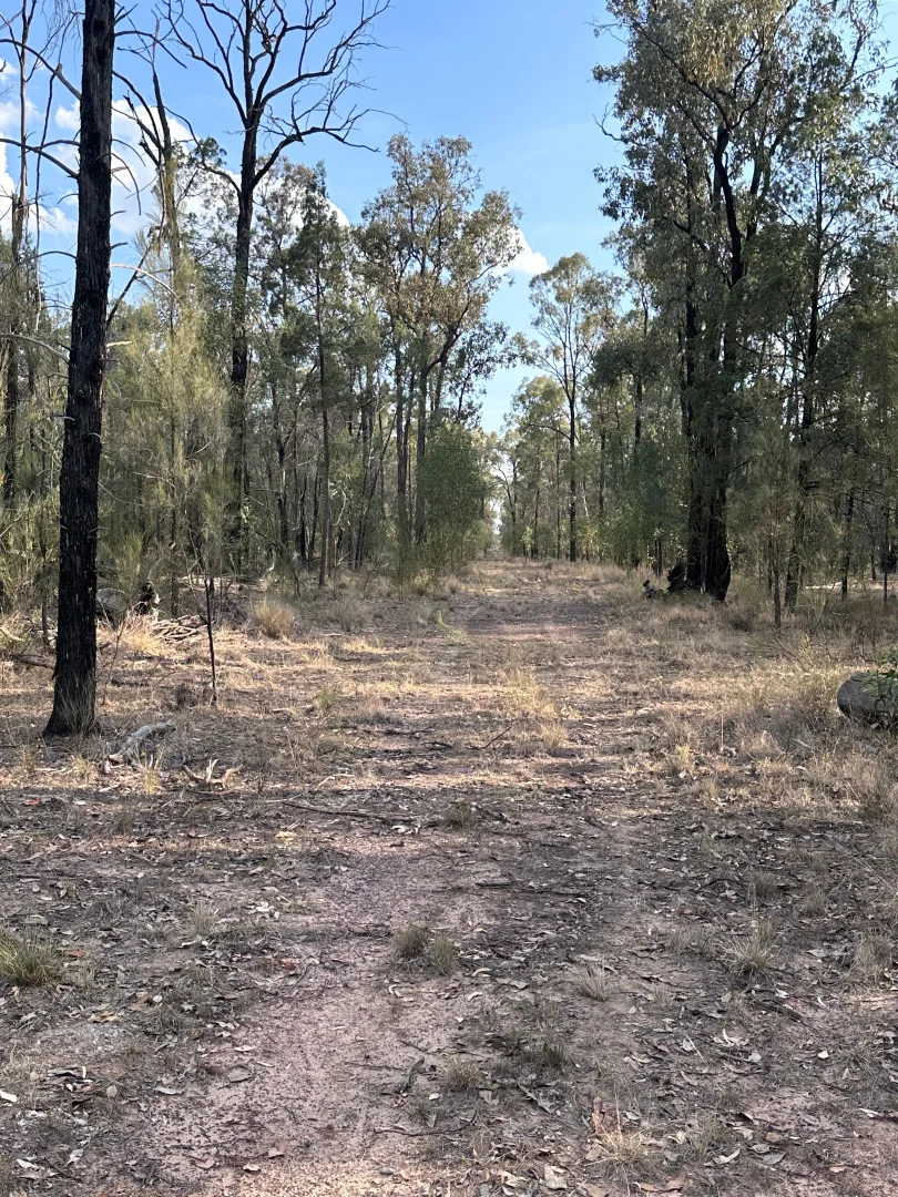 Additional image 23 of 15778 Surat Development Road, Goranba QLD 4421