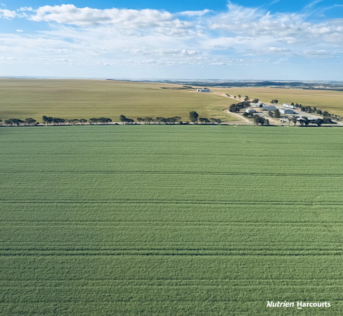 Additional image 7 of 533 Yandanooka West Road, Arrino WA 6519