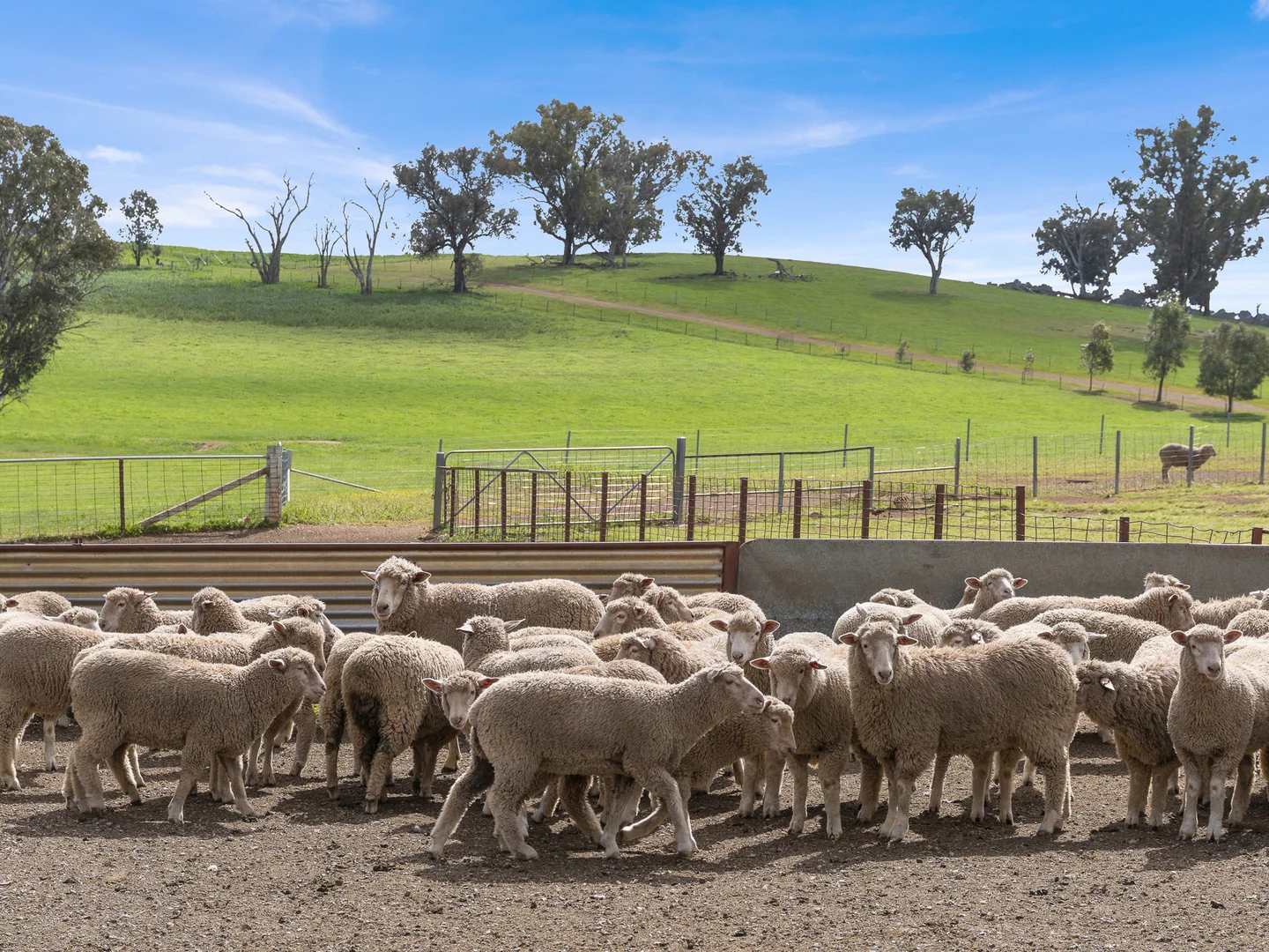 Additional image 28 of 2056 Benalla-Yarrawona Road, Bungeet West VIC 3726