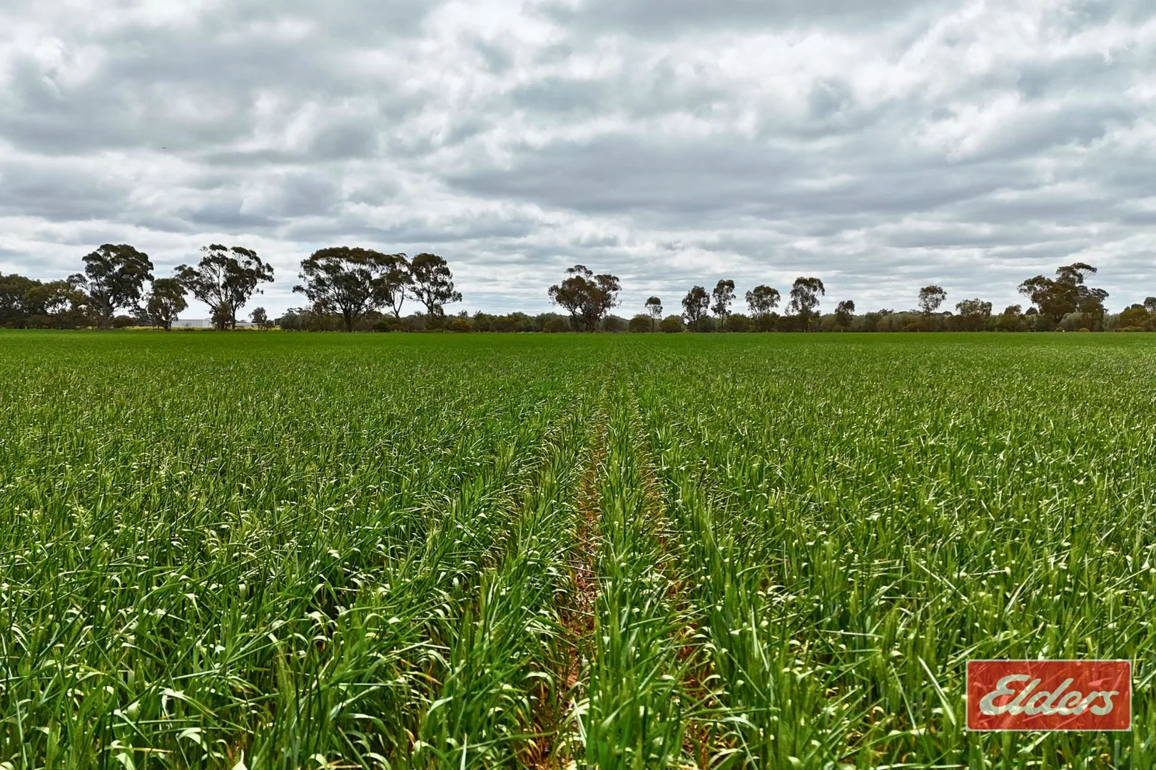 Additional image 2 of 937 Ham Road, Moama NSW 2731