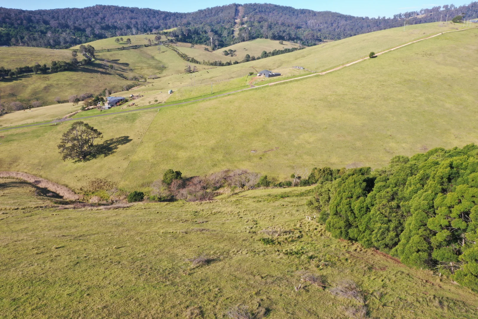 Additional image 14 of Lot 23 Fourter Road, Nethercote NSW 2549