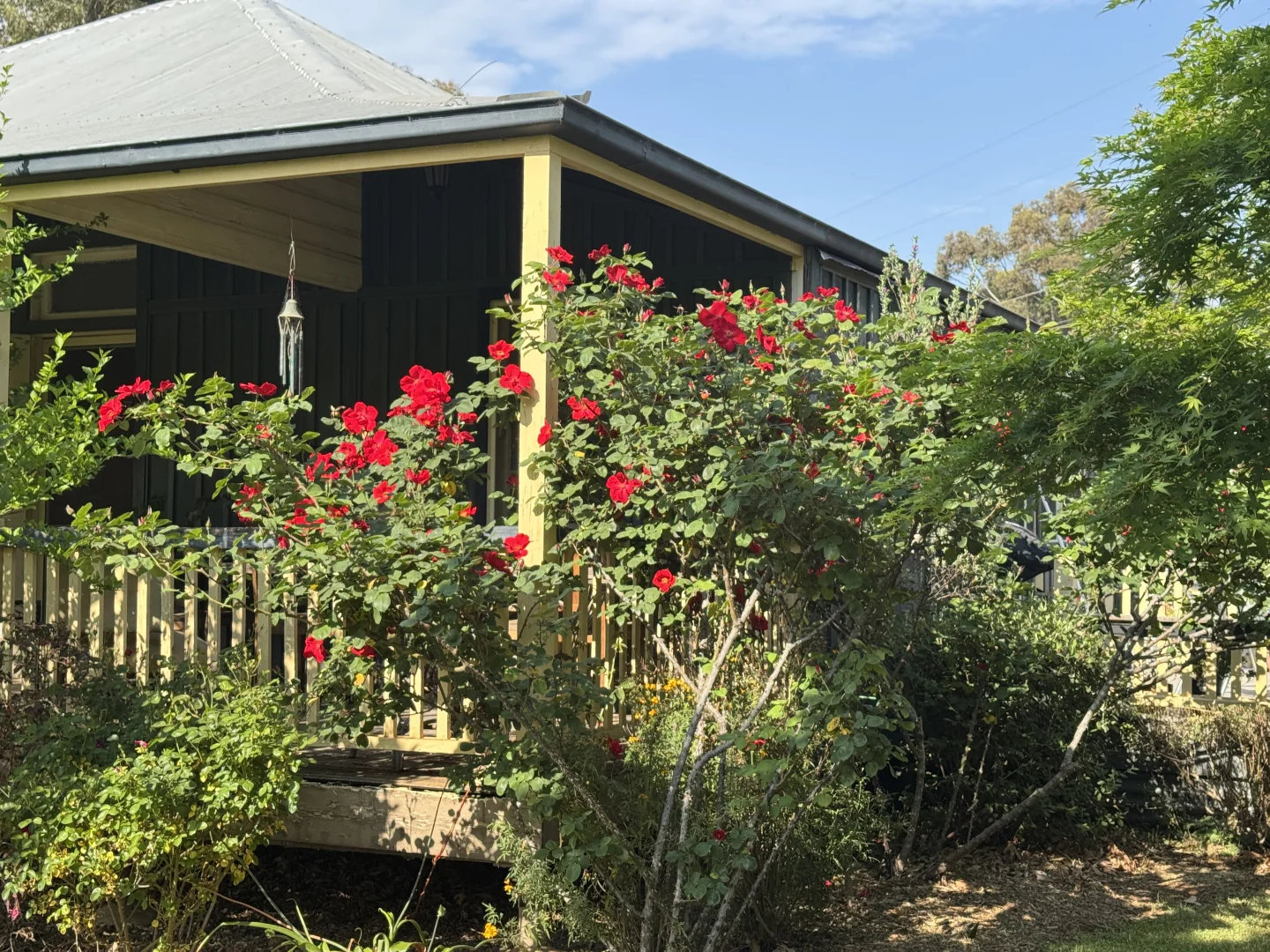 Additional image 6 of 121 Orchard Place, Inverell NSW 2360