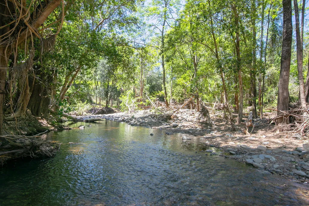 Additional image 28 of 147 Rosses Road, Gloucester NSW 2422