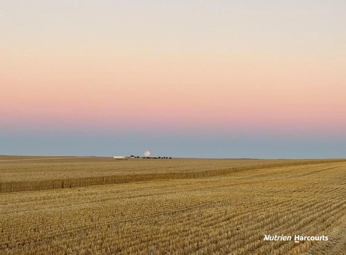 Additional image 10 of 533 Yandanooka West Road, Arrino WA 6519