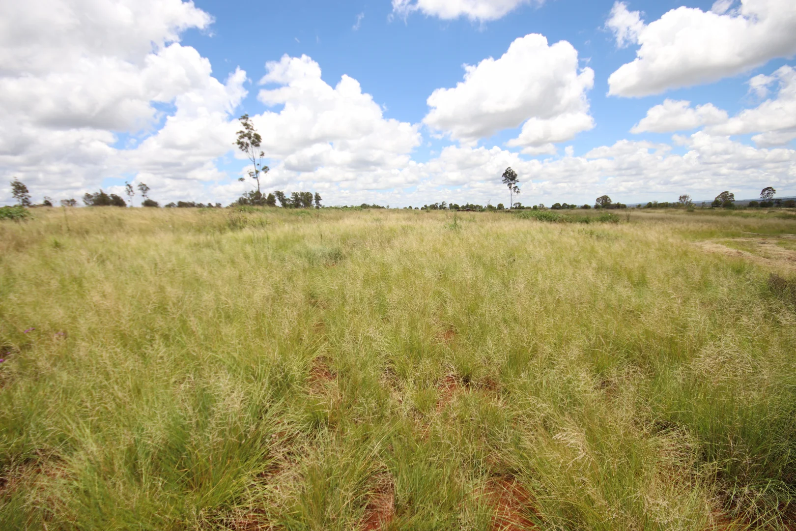 Additional image 4 of 1285 Kingaroy Burrandowan Road, Wattle Grove, Kingaroy QLD 4610