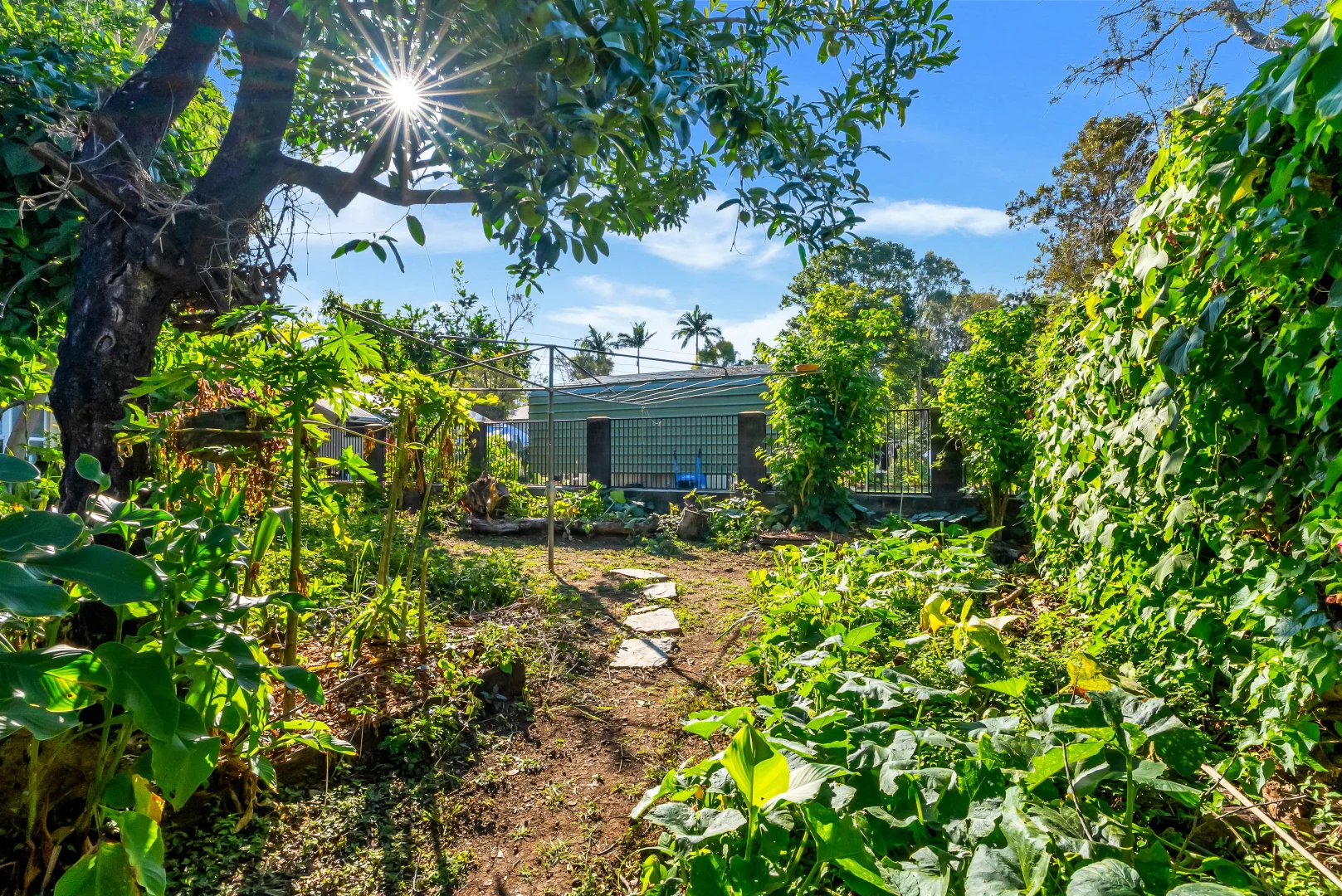 Additional image 26 of 19 Byrnes Street, Mareeba QLD 4880