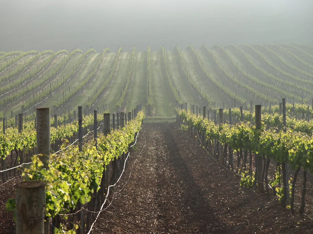 Additional image 3 of Lot 20 Spring Farm Road, Spring Farm SA 5453