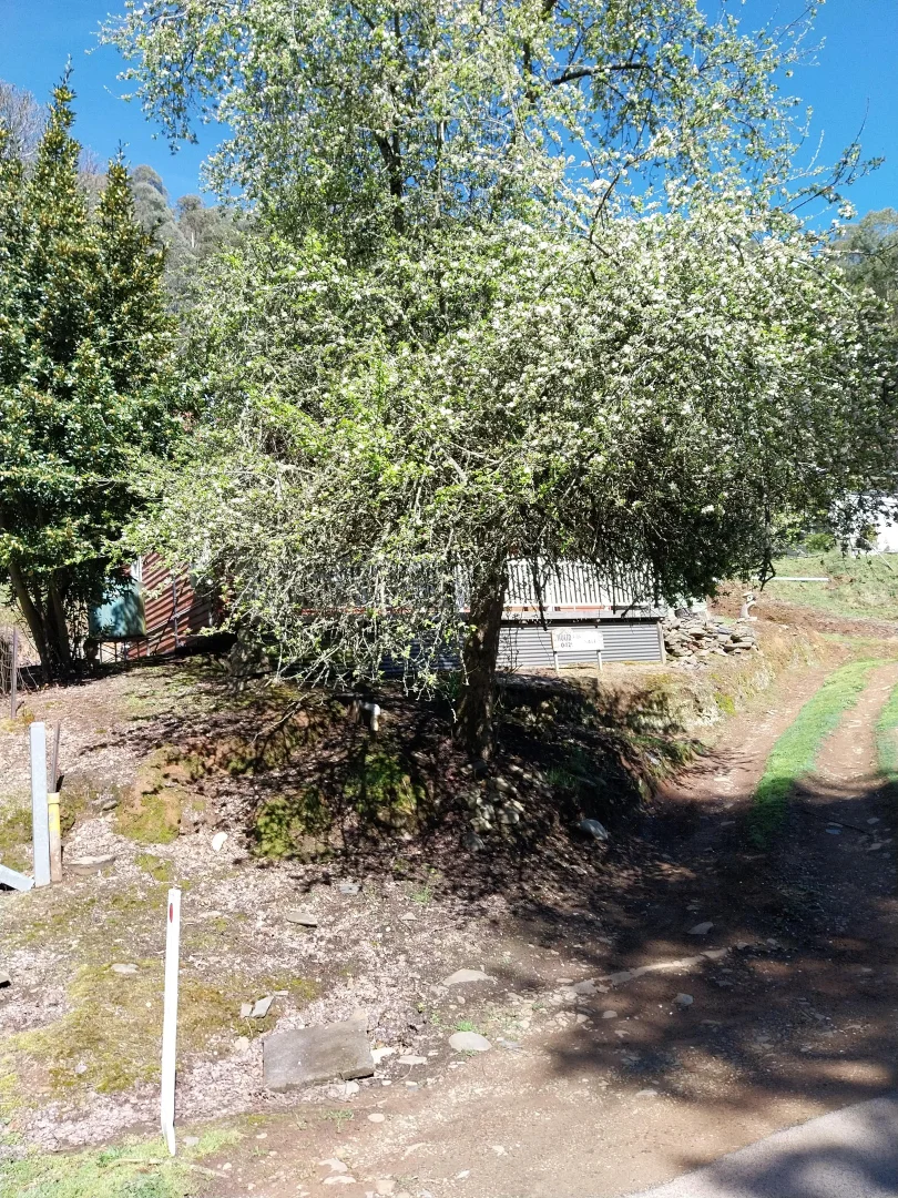 Additional image 3 of 30 Scott Street, Woods Point VIC 3723