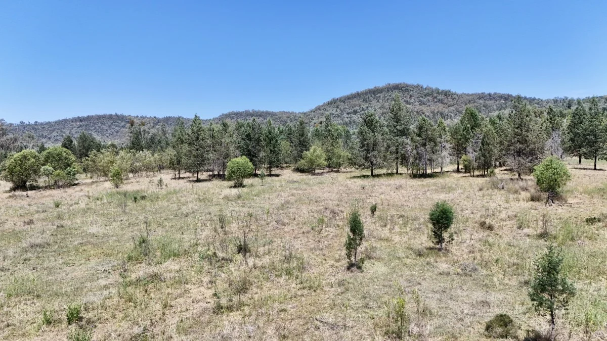 Additional image 10 of 957 Killarney Gap Road, Bingara NSW 2404