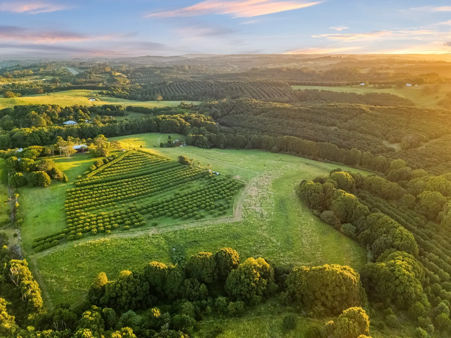 Additional image 33 of 617 Hinterland Way, Newrybar NSW 2479