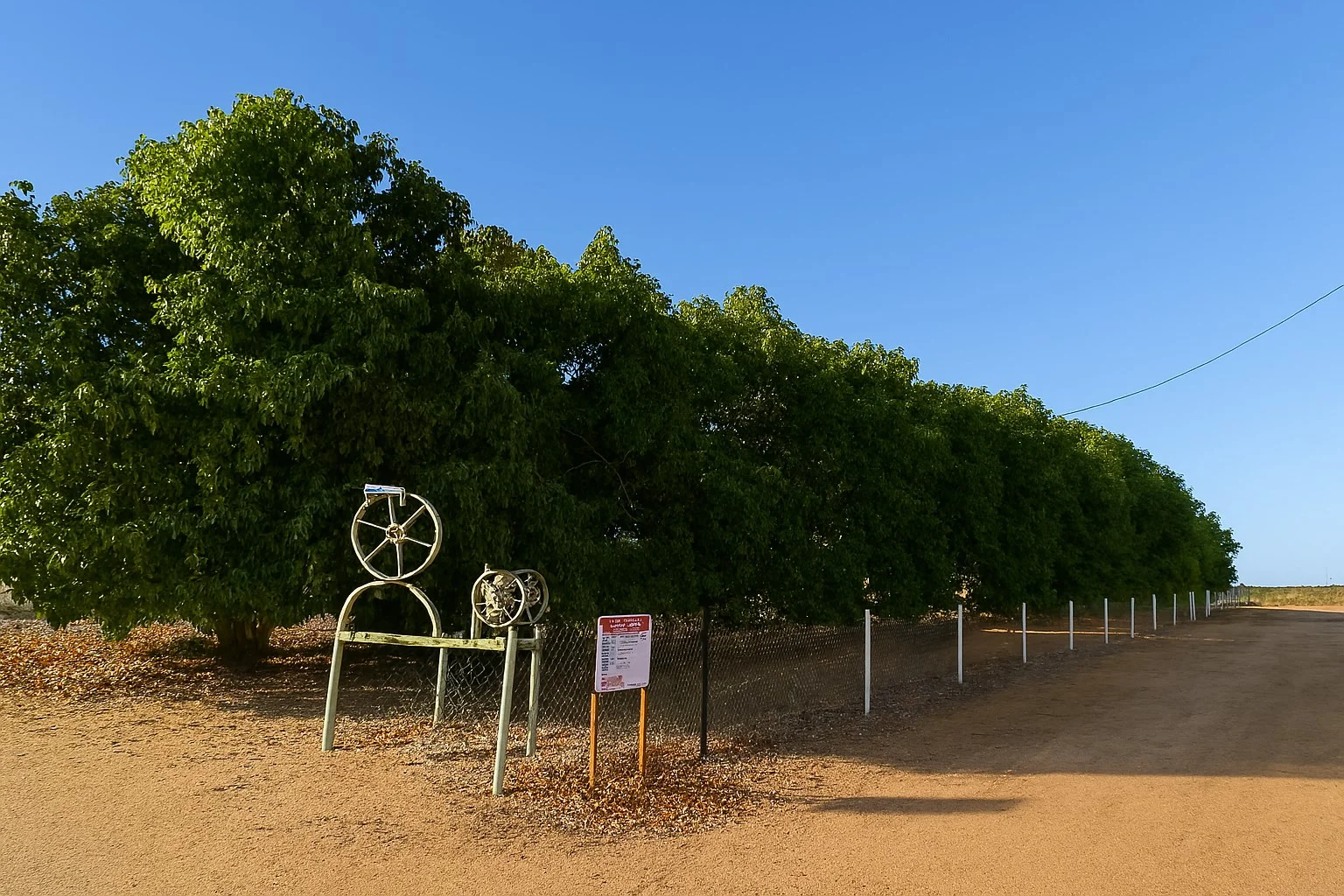 Additional image 17 of 600 South River Road, South Plantations WA 6701