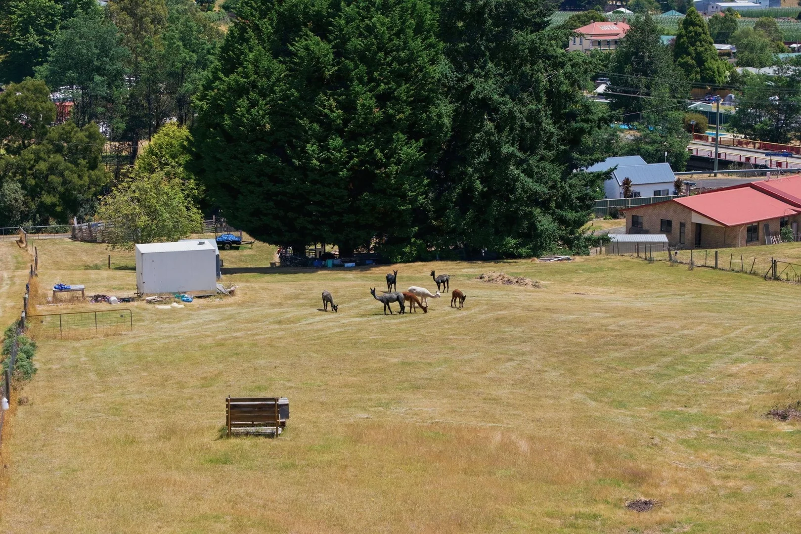 Additional image 28 of 10 Scott Street, Branxholm TAS 7261