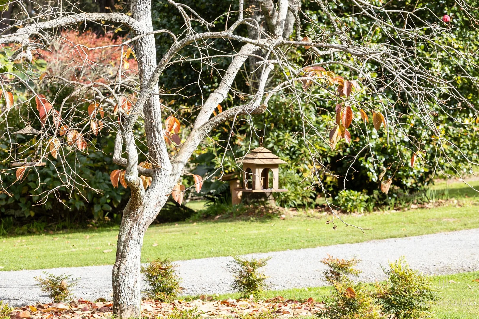 Additional image 19 of 1258 Belmore Falls Road, Wildes Meadow NSW 2577