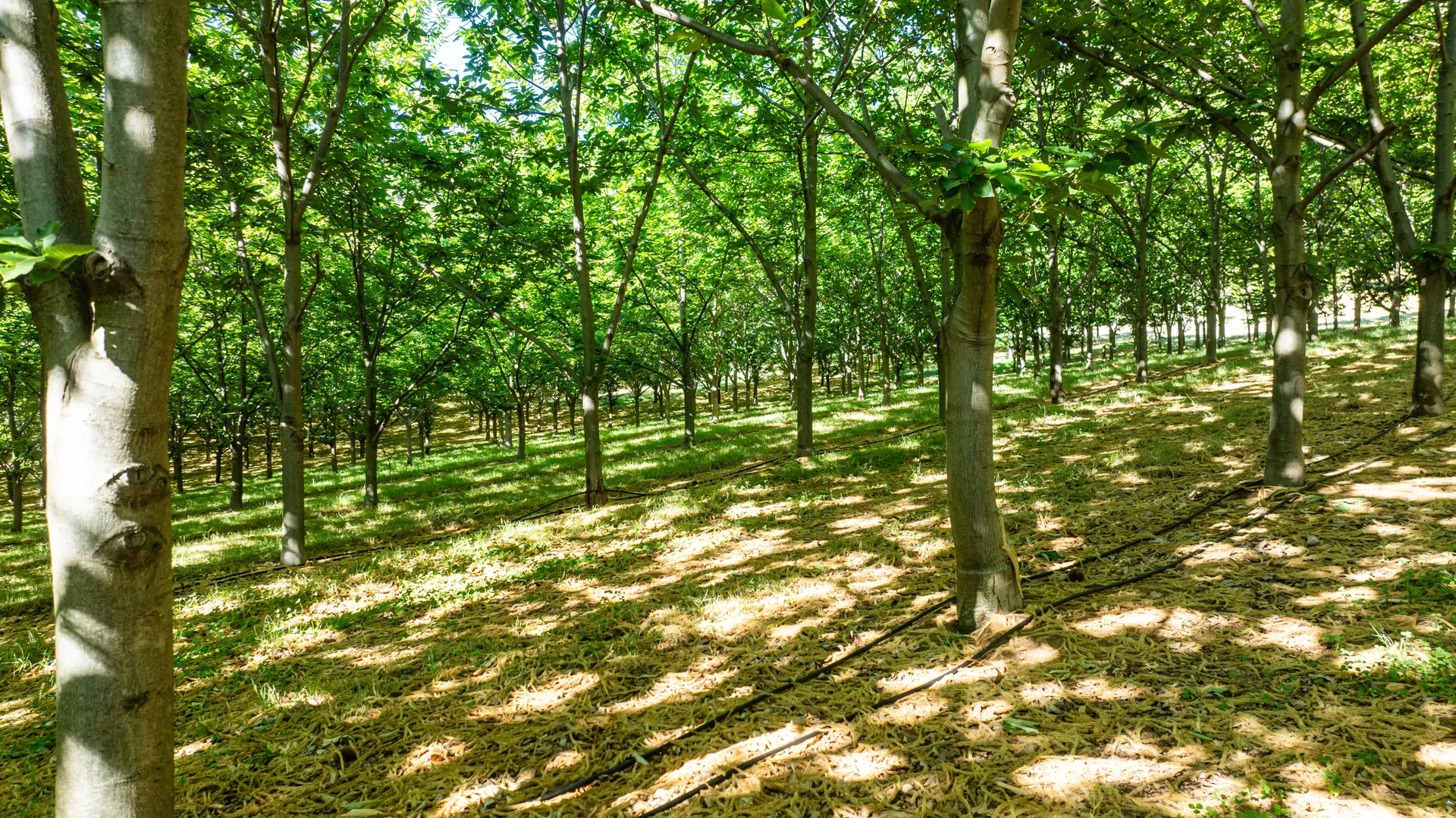 Additional image 32 of 192 Myrtleford-Stanley Road, Stanley VIC 3747