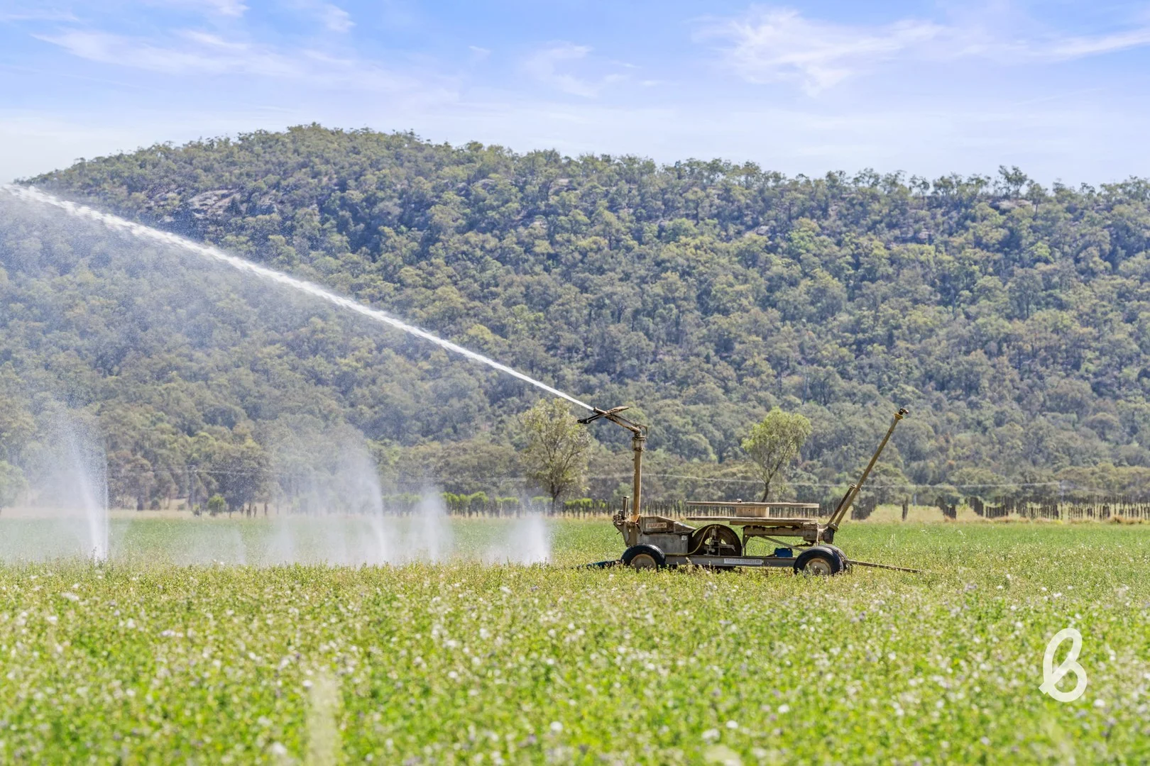 562 Yarrawa Road, Yarrawa NSW 2328