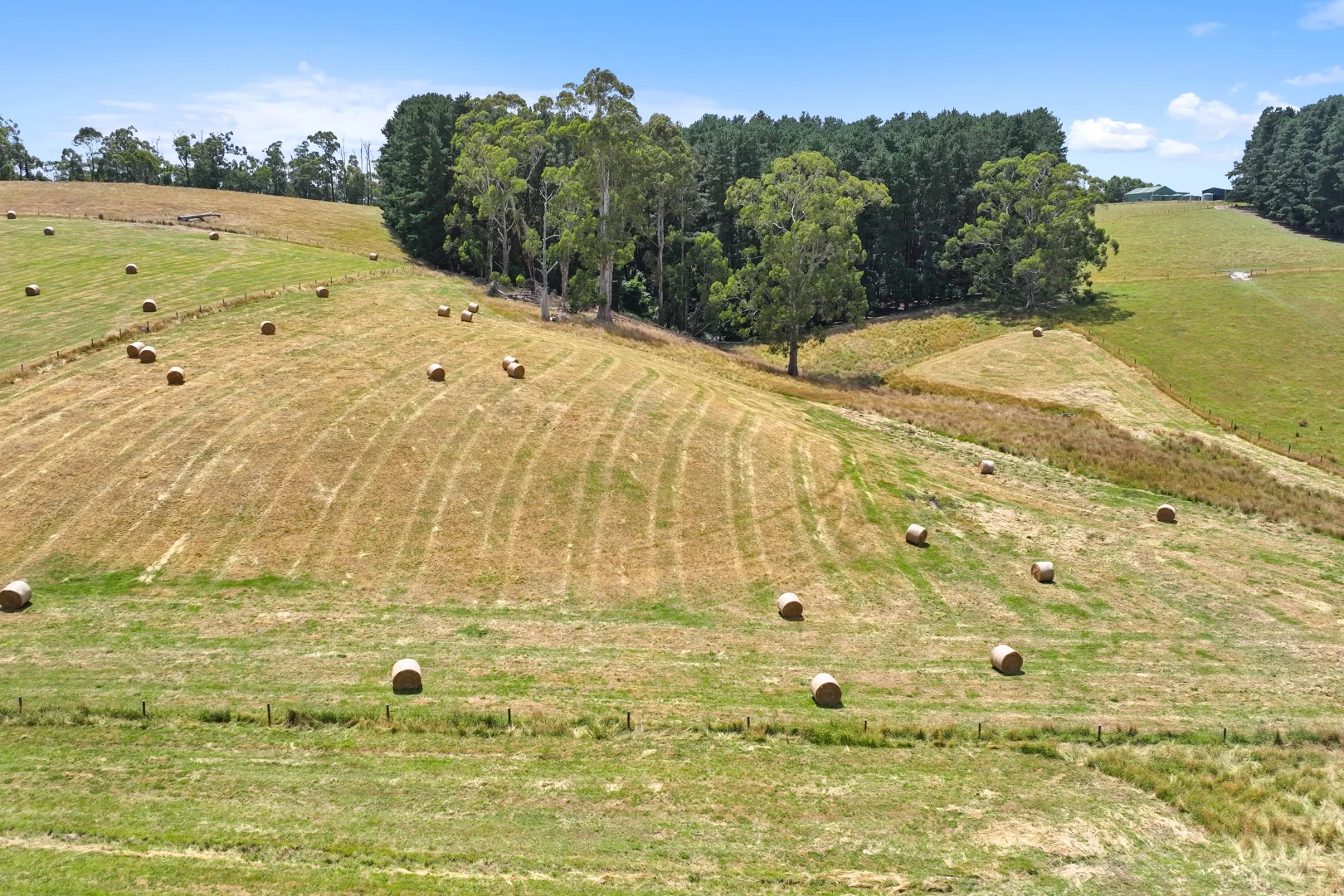 Additional image 9 of 460 Old Telegraph Road, Crossover VIC 3821