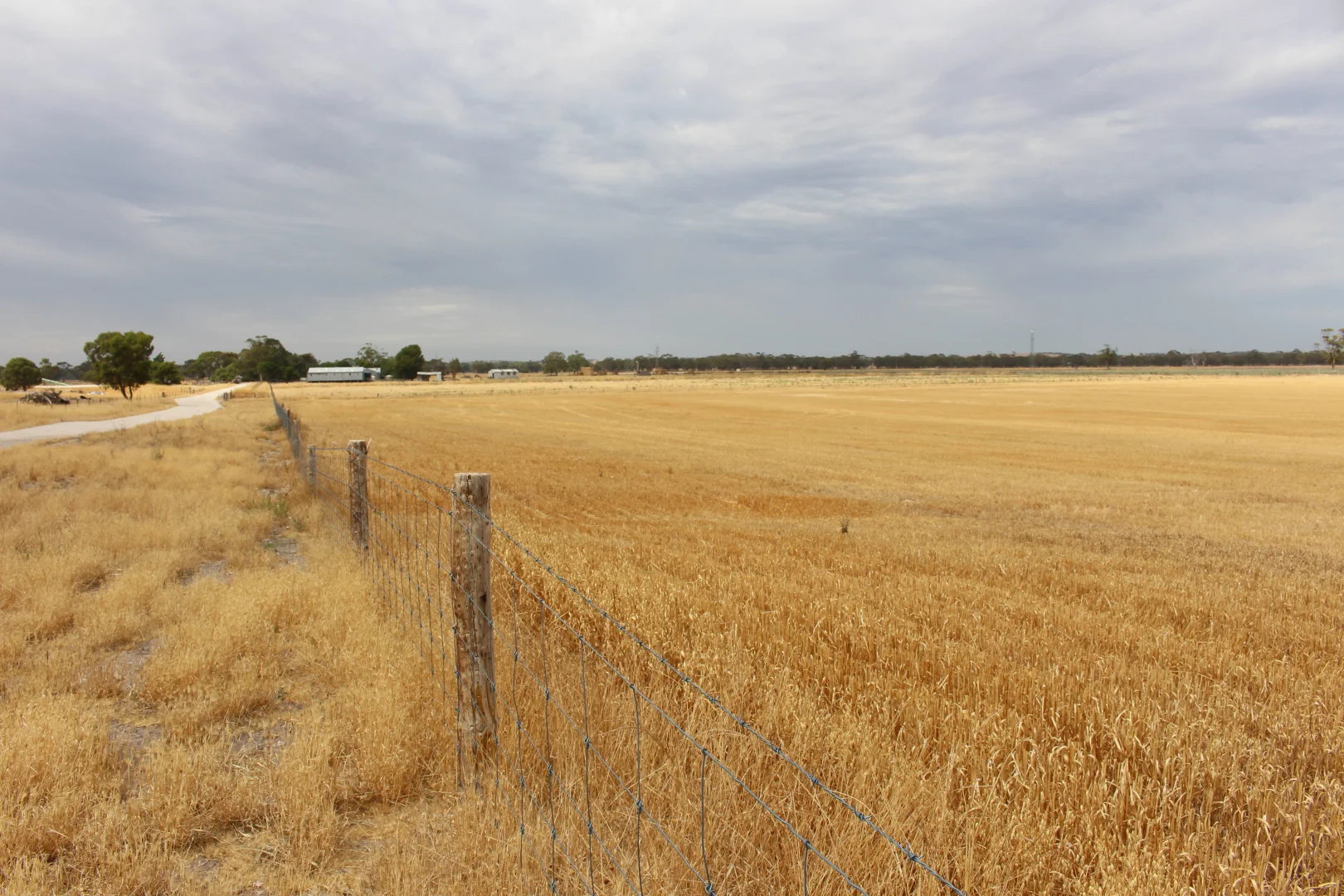 Additional image 9 of 2212 CAREW ROAD, Mundulla SA 5270