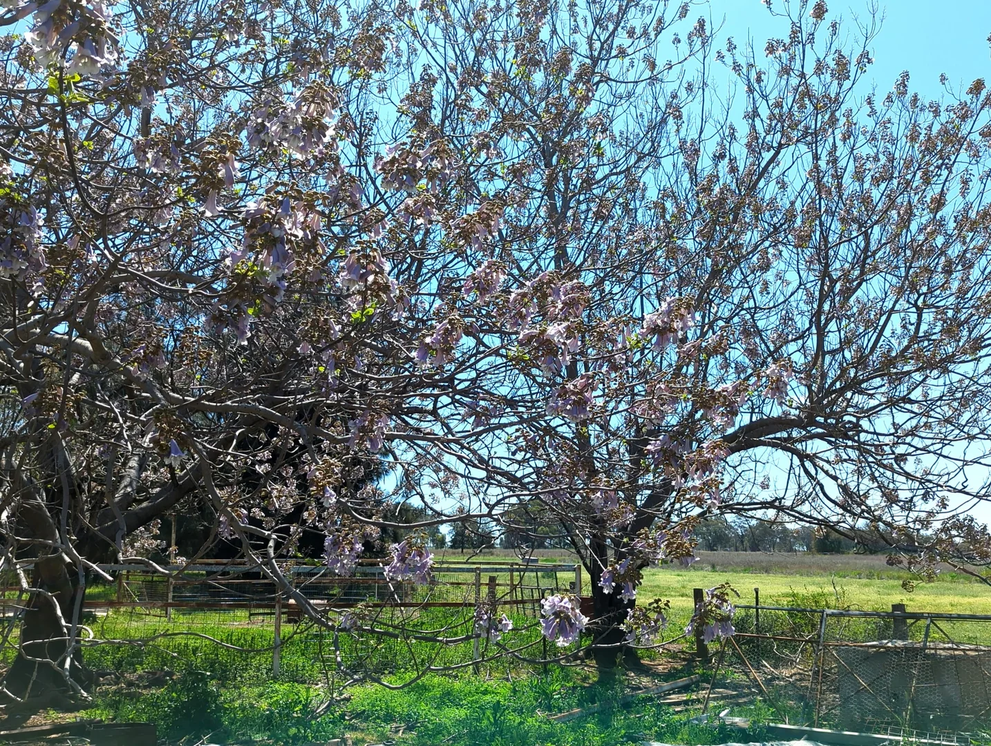 Additional image 7 of 5082 Werris Creek Road, Warral NSW 2340