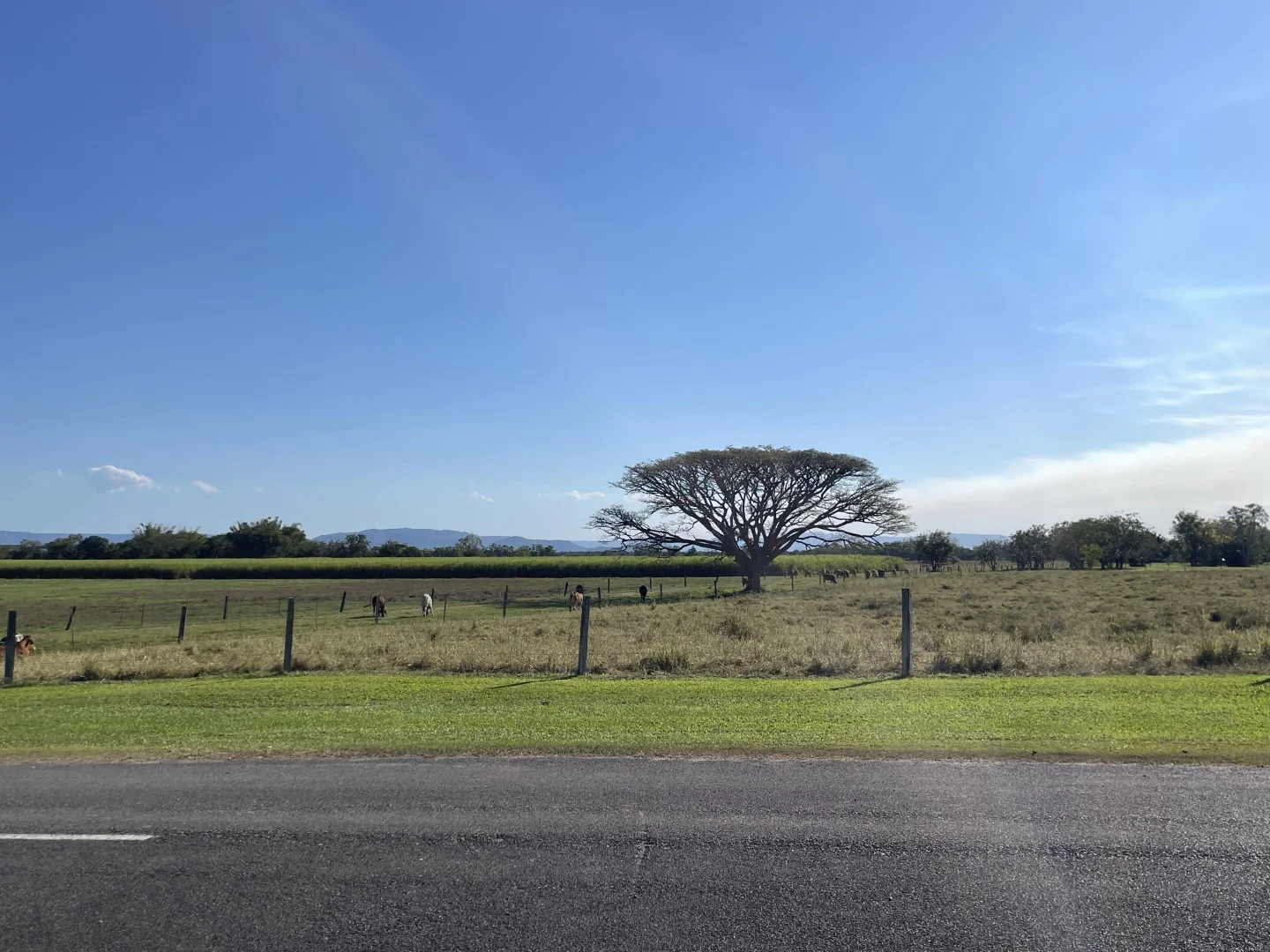 Additional image 2 of 4 Marina Parade, Ingham QLD 4850