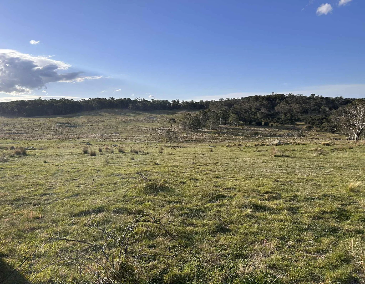 Additional image 14 of 11 & 128 Stoney Ridge Road, Braidwood NSW 2622