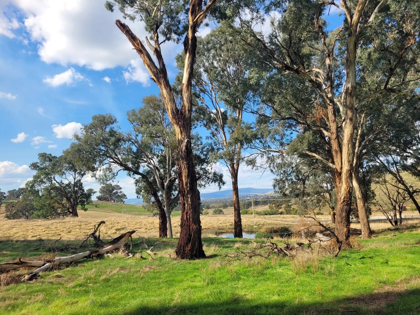 84 Owens Creek Drive, Mansfield VIC 3722