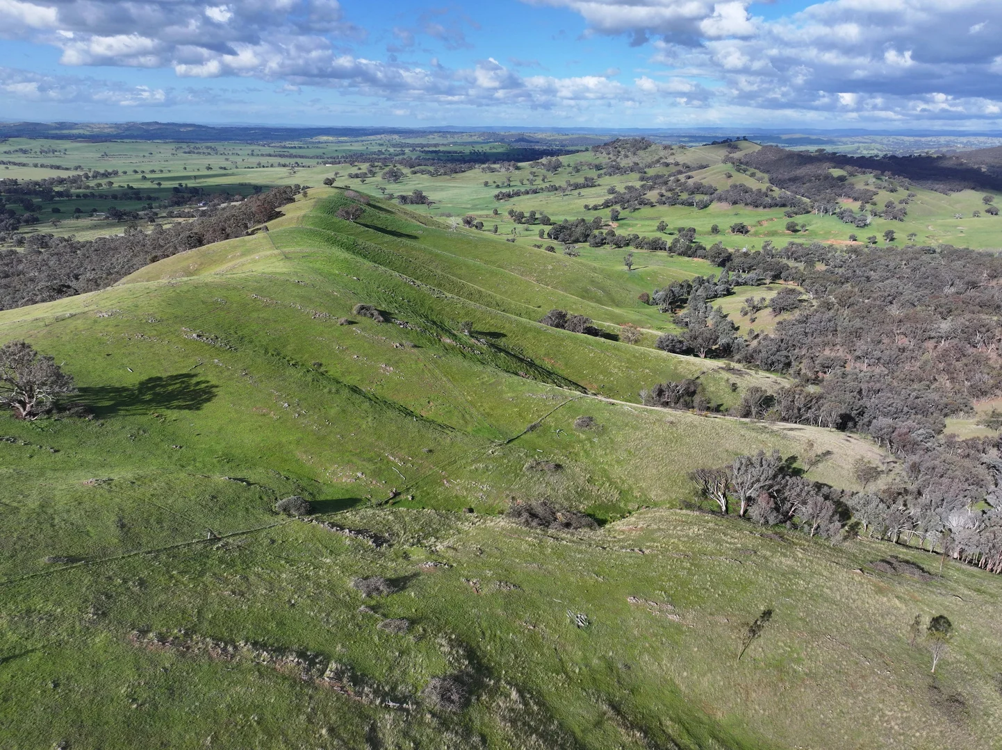 Additional image 14 of 'Rosewood' 850 Pulletop Road, Big Springs NSW 2650